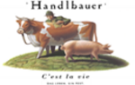 Herbert Handlbauer GmbH