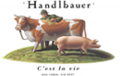 Herbert Handlbauer GmbH